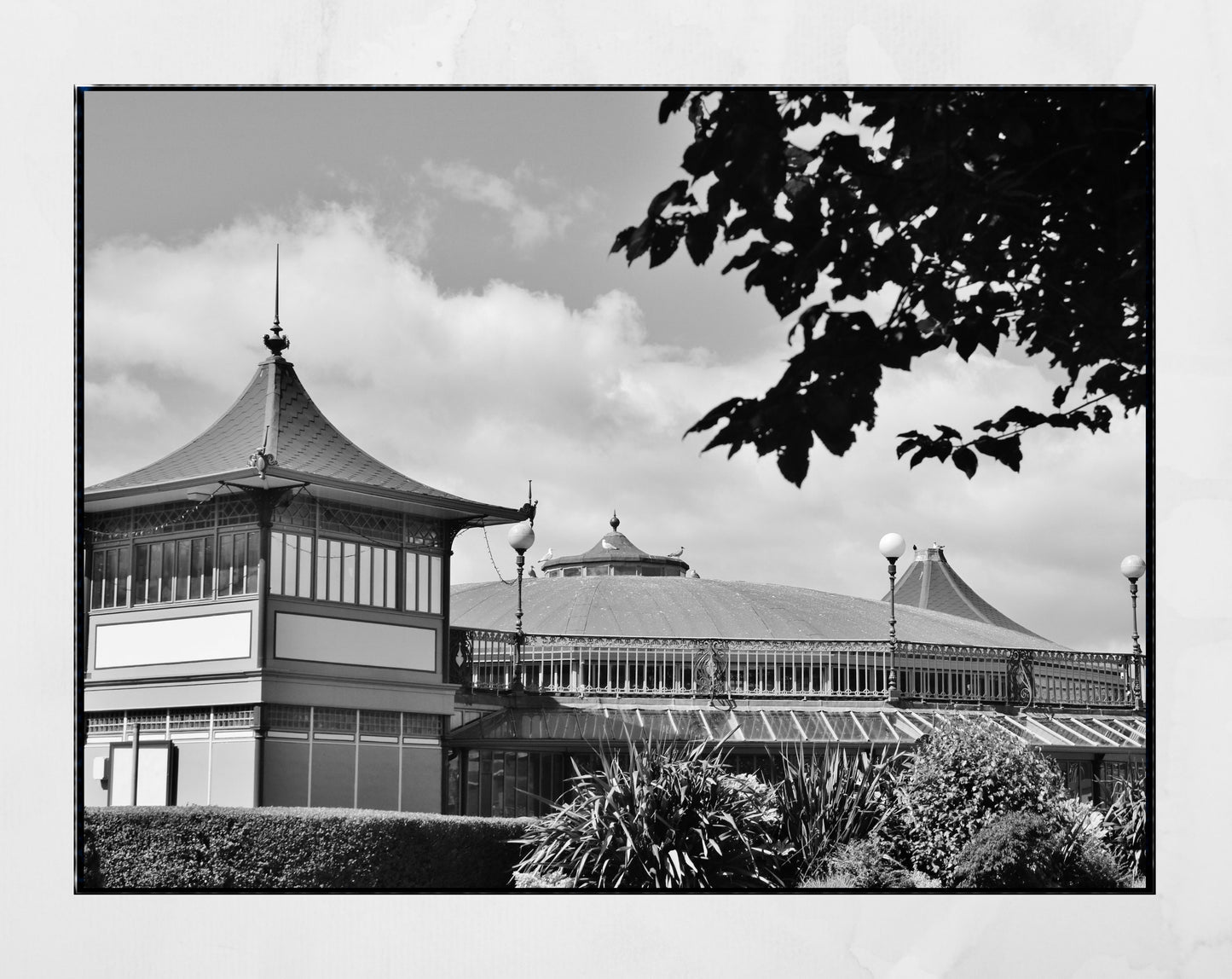 Rothesay Poster Isle Of Bute Winter Gardens Black And White Photography Print