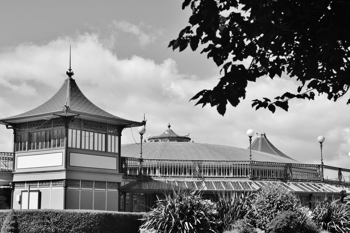 Rothesay Poster Isle Of Bute Winter Gardens Black And White Photography Print