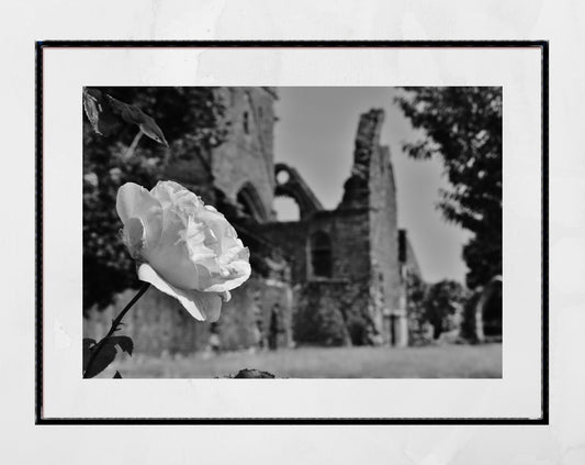 Dumfries Poster Sweetheart Abbey Rose Black And White Photography Print