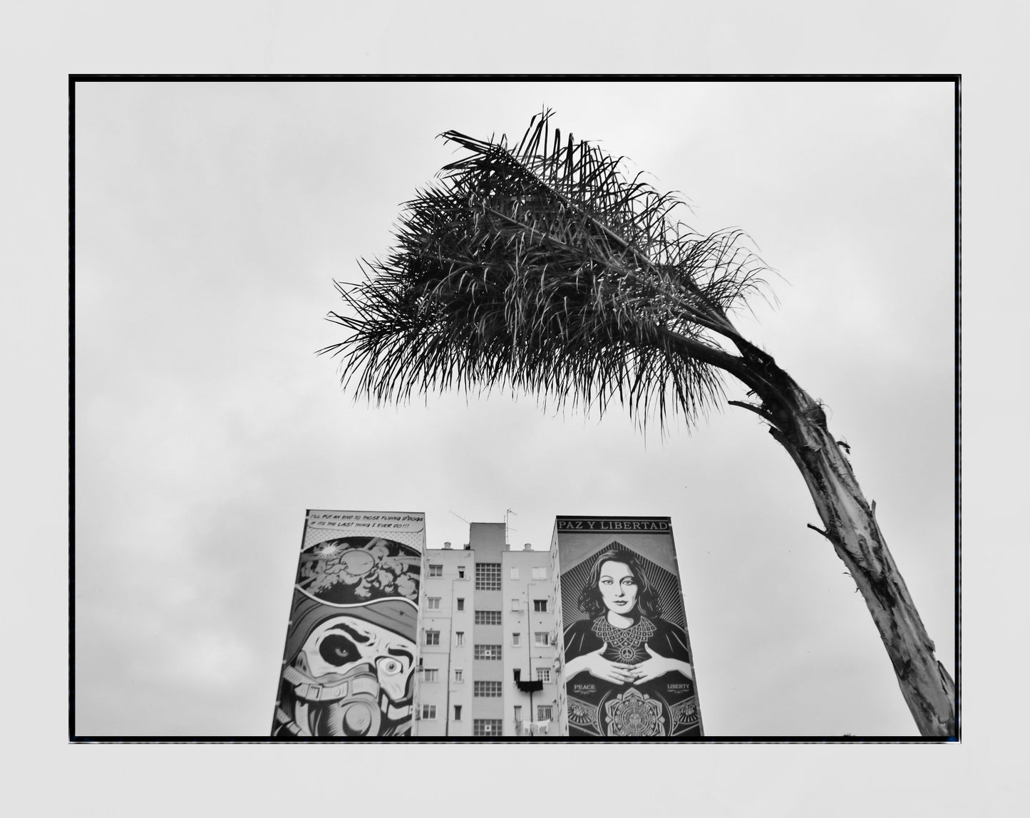 Malaga Poster Black And White Street Art Print