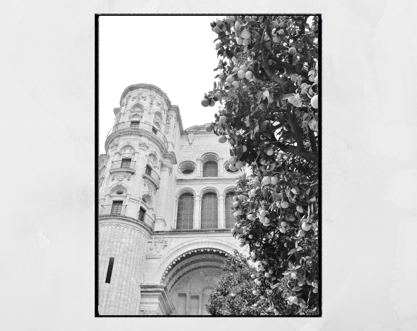 Malaga Cathedral Andalucia Black And White Photography Print