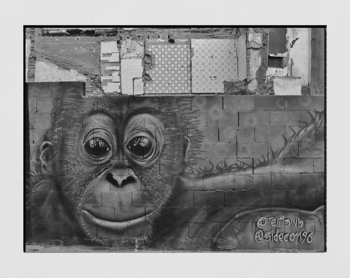 Malaga Street Art Monkey Black And White Photography Print