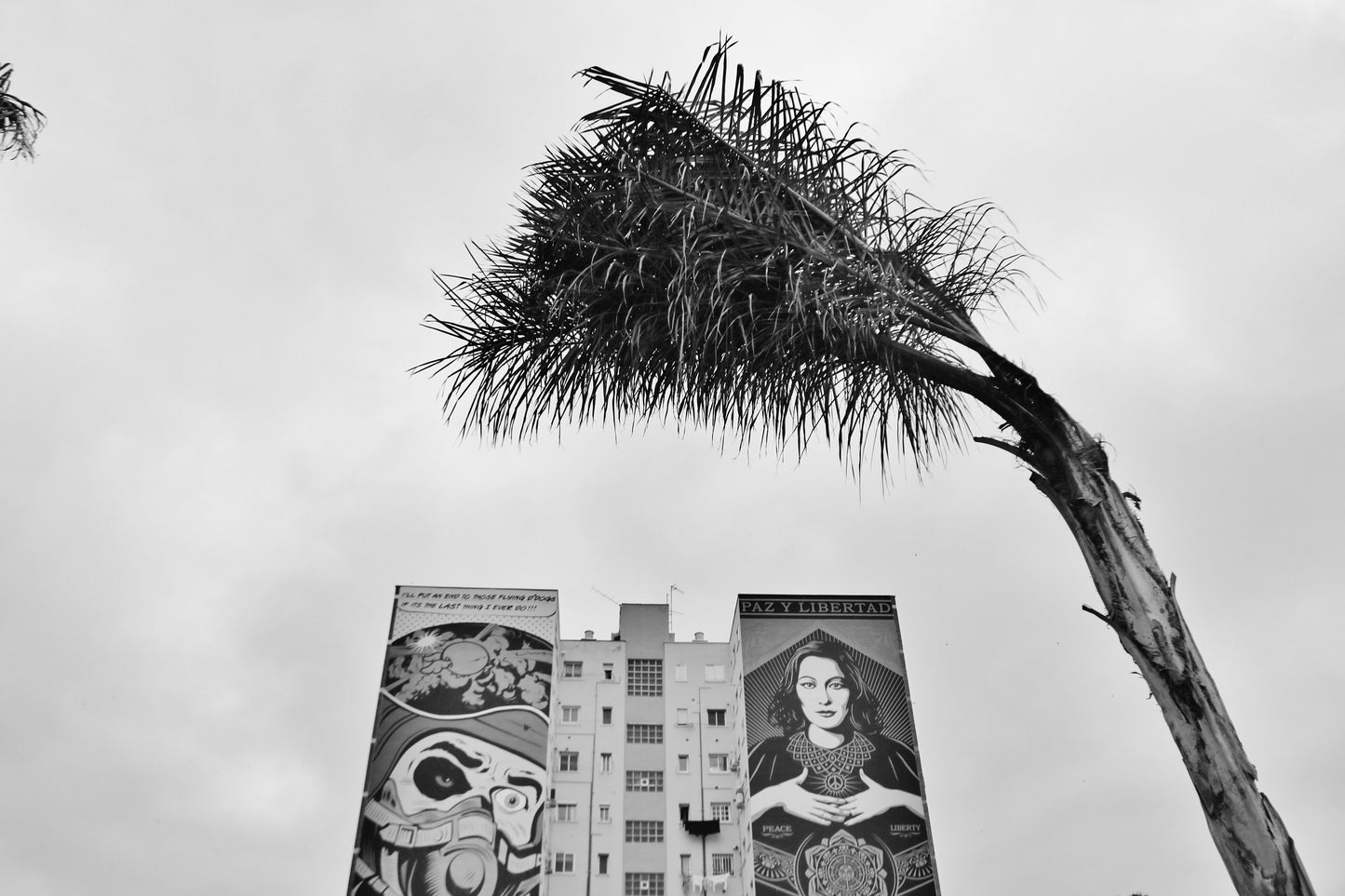 Malaga Poster Black And White Street Art Print