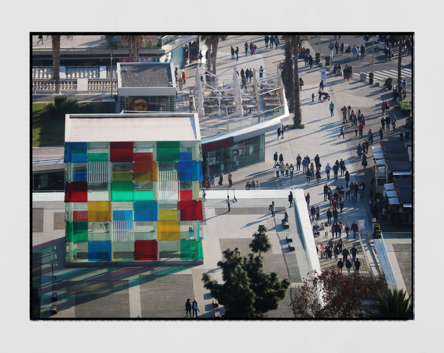 Malaga Picasso Museum Photography Print