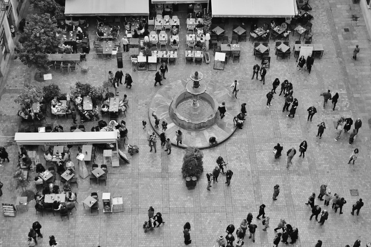 Malaga Spain Wall Art Plaza del Obispo Black And White Photography