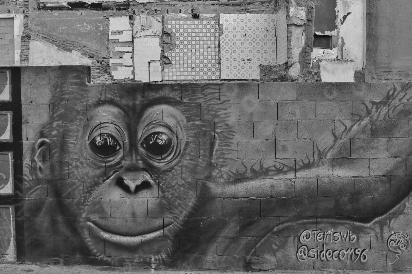 Malaga Street Art Monkey Black And White Photography Print