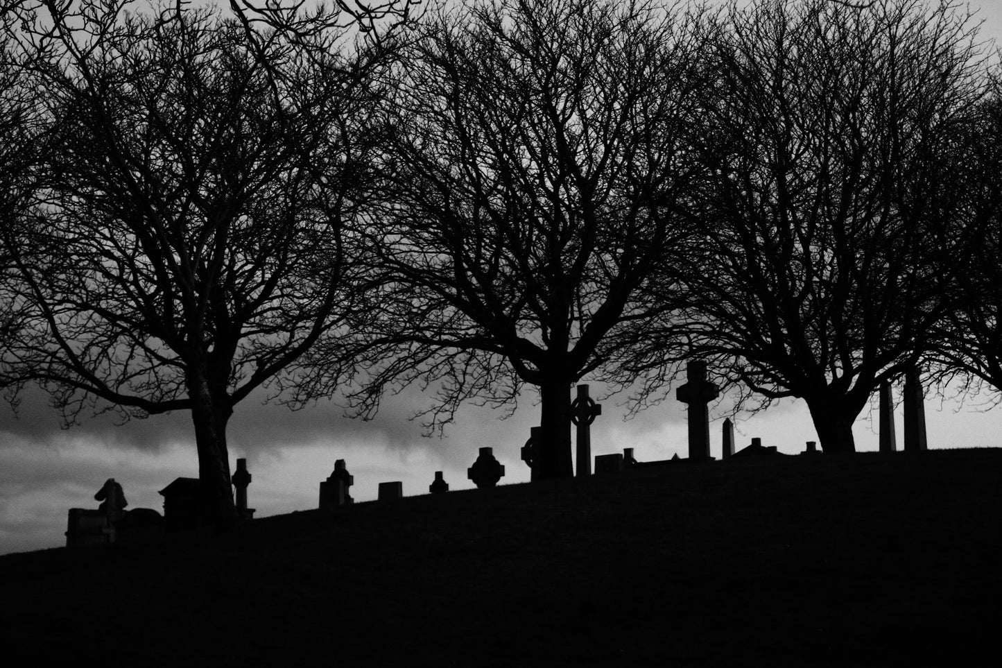 Glasgow Necropolis Graveyard Black And White Photography Print