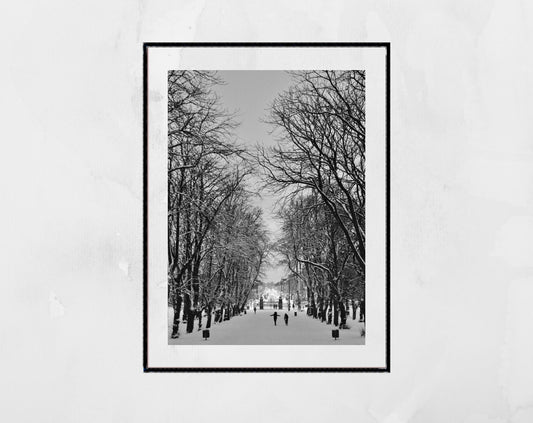 Glasgow Queen's Park Black And White Photography Wall Art