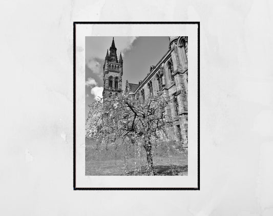 Glasgow University Black And White Photography Print Cherry Blossom Tree Wall Art