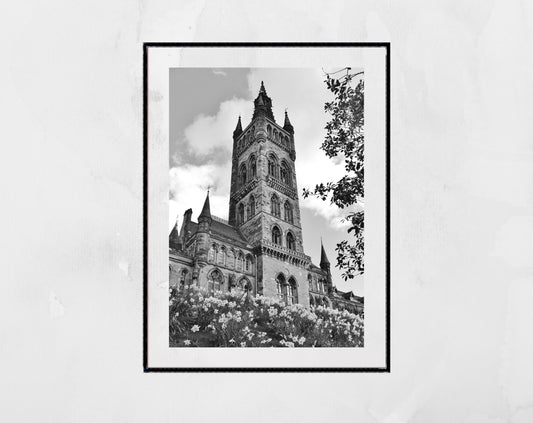 Glasgow University Black And White Photography Print Daffodil Art