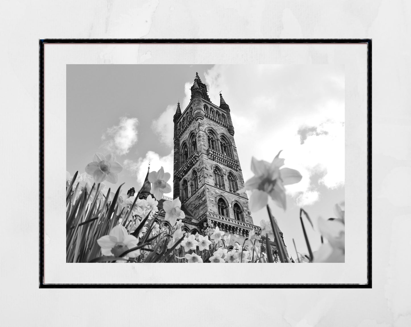 Glasgow University Black And White Photography Print Daffodil Wall Art