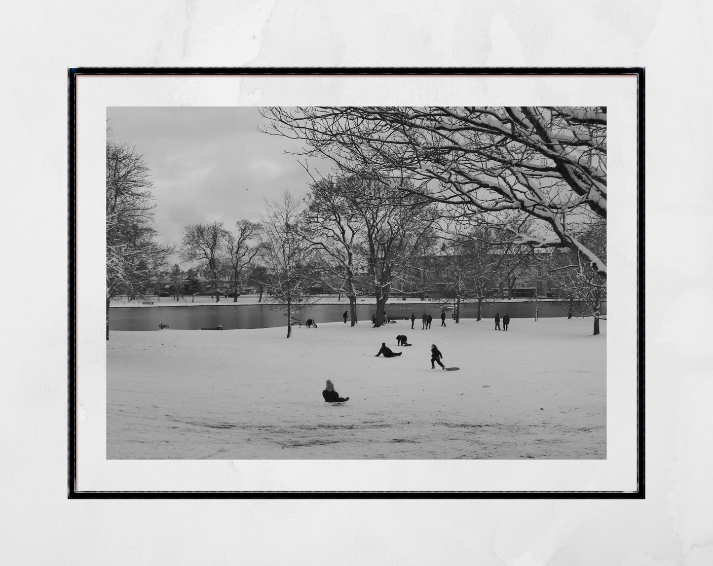 Queen's Park Glasgow Black And White Photography Print