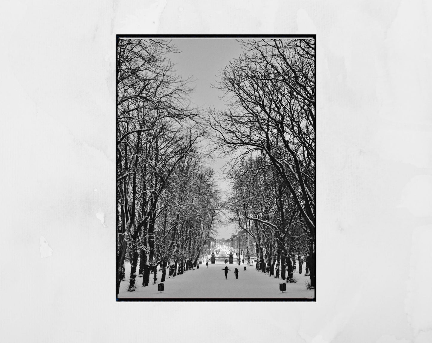 Glasgow Queen's Park Black And White Photography Wall Art