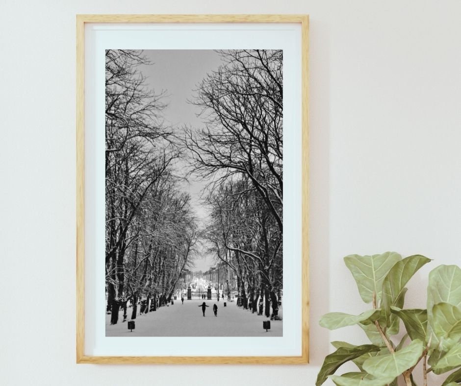 Glasgow Queen's Park Black And White Photography Wall Art