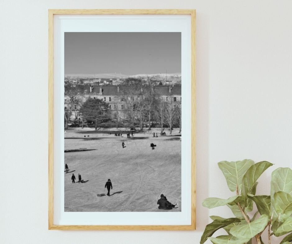 Glasgow Black And White Photography Queen's Park Print