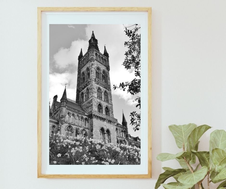 Glasgow University Black And White Photography Print Daffodil Art