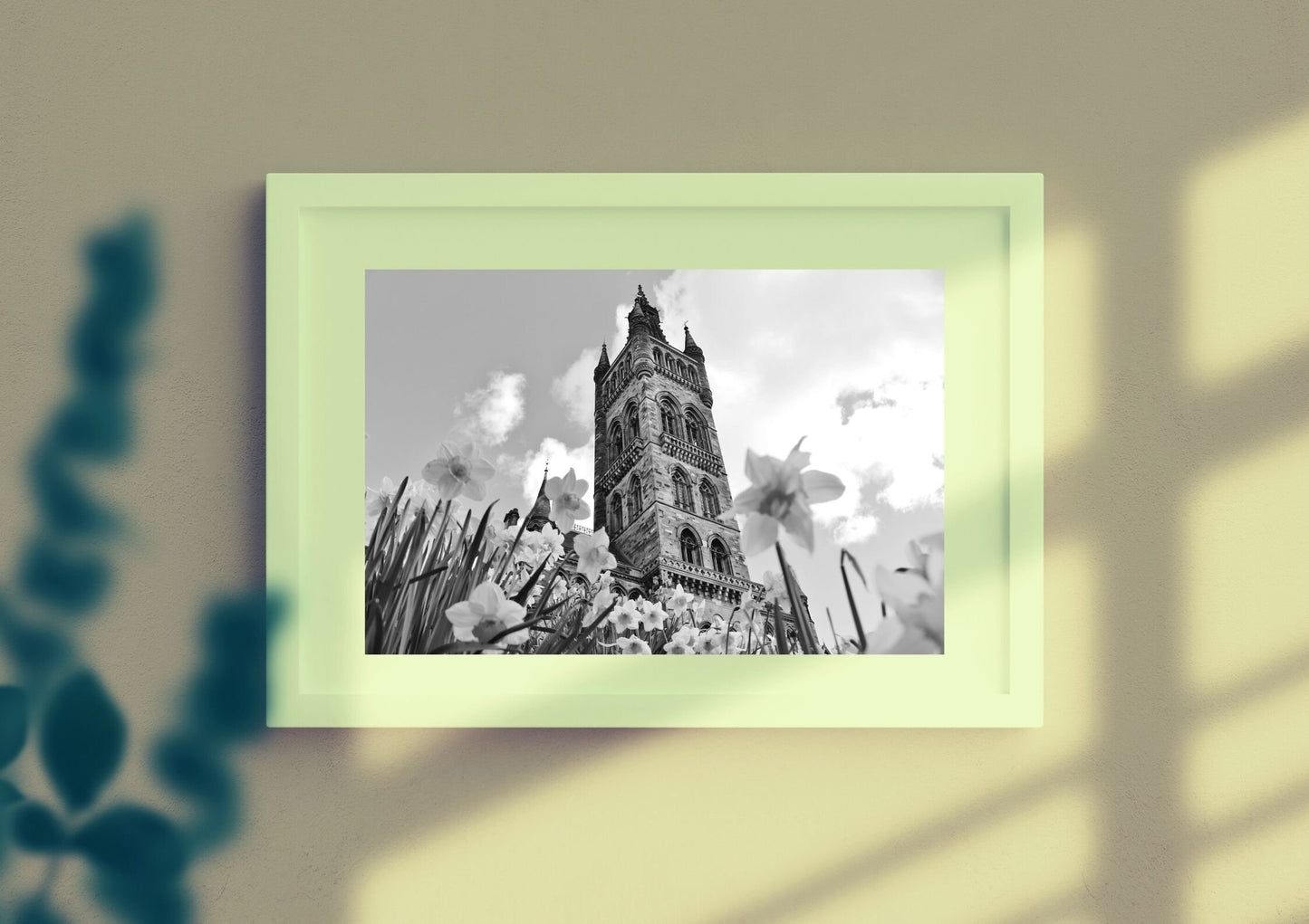 Glasgow University Black And White Photography Print Daffodil Wall Art