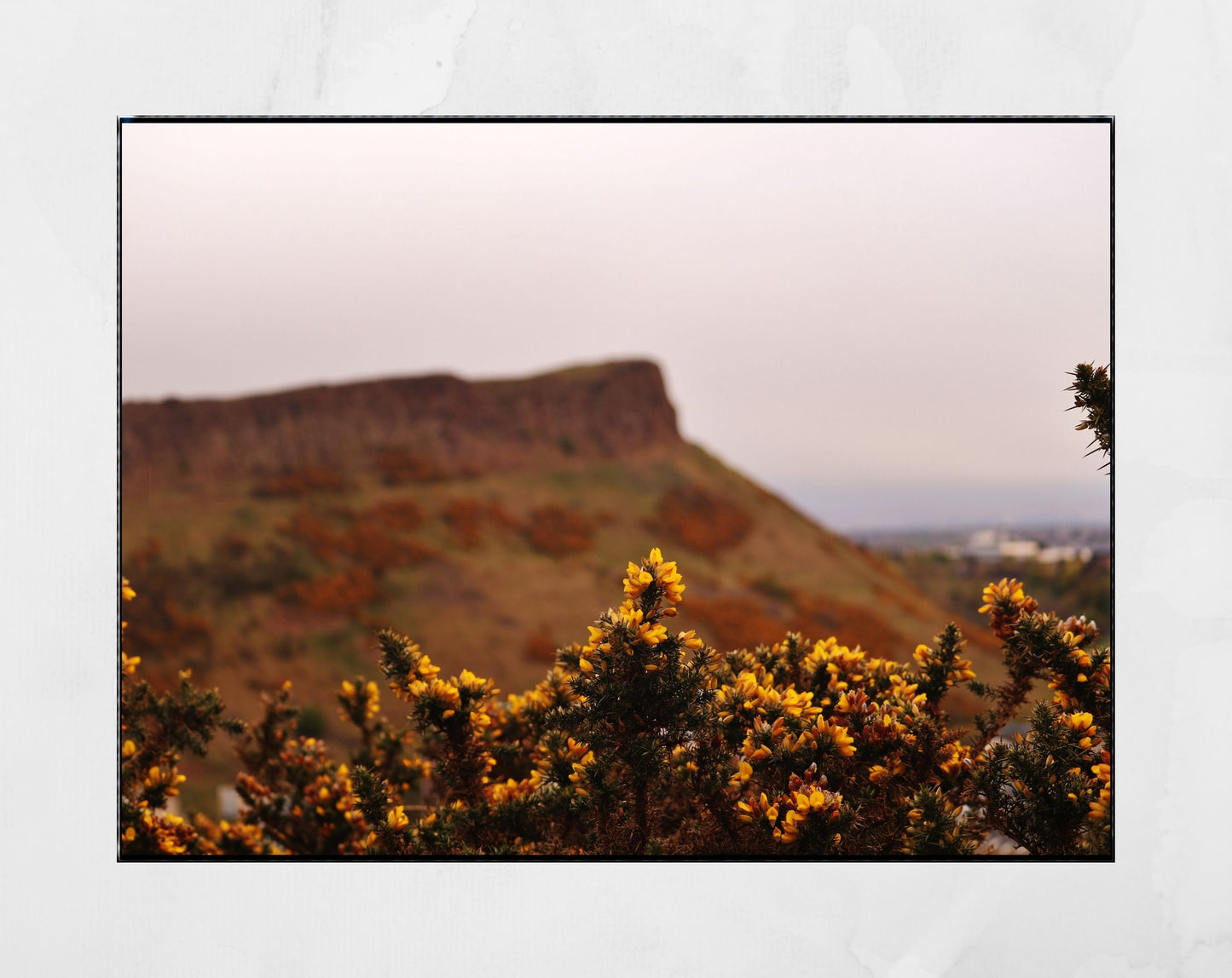 Arthur's Seat Edinburgh Photography Print