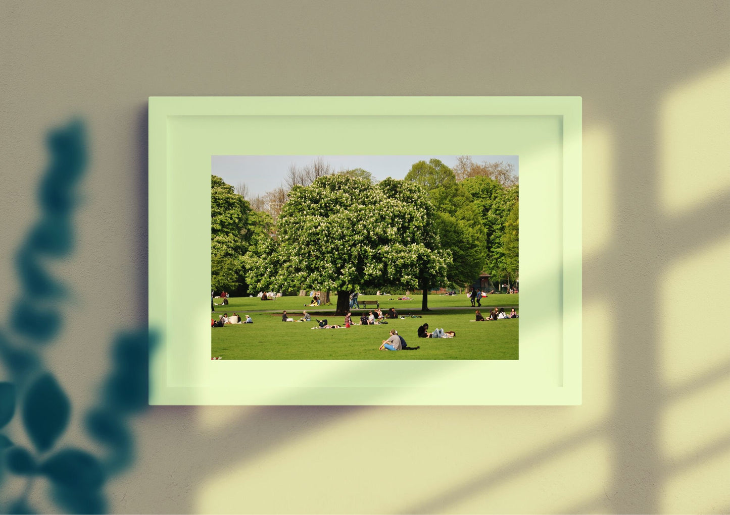 Clissold Park London Photography Print