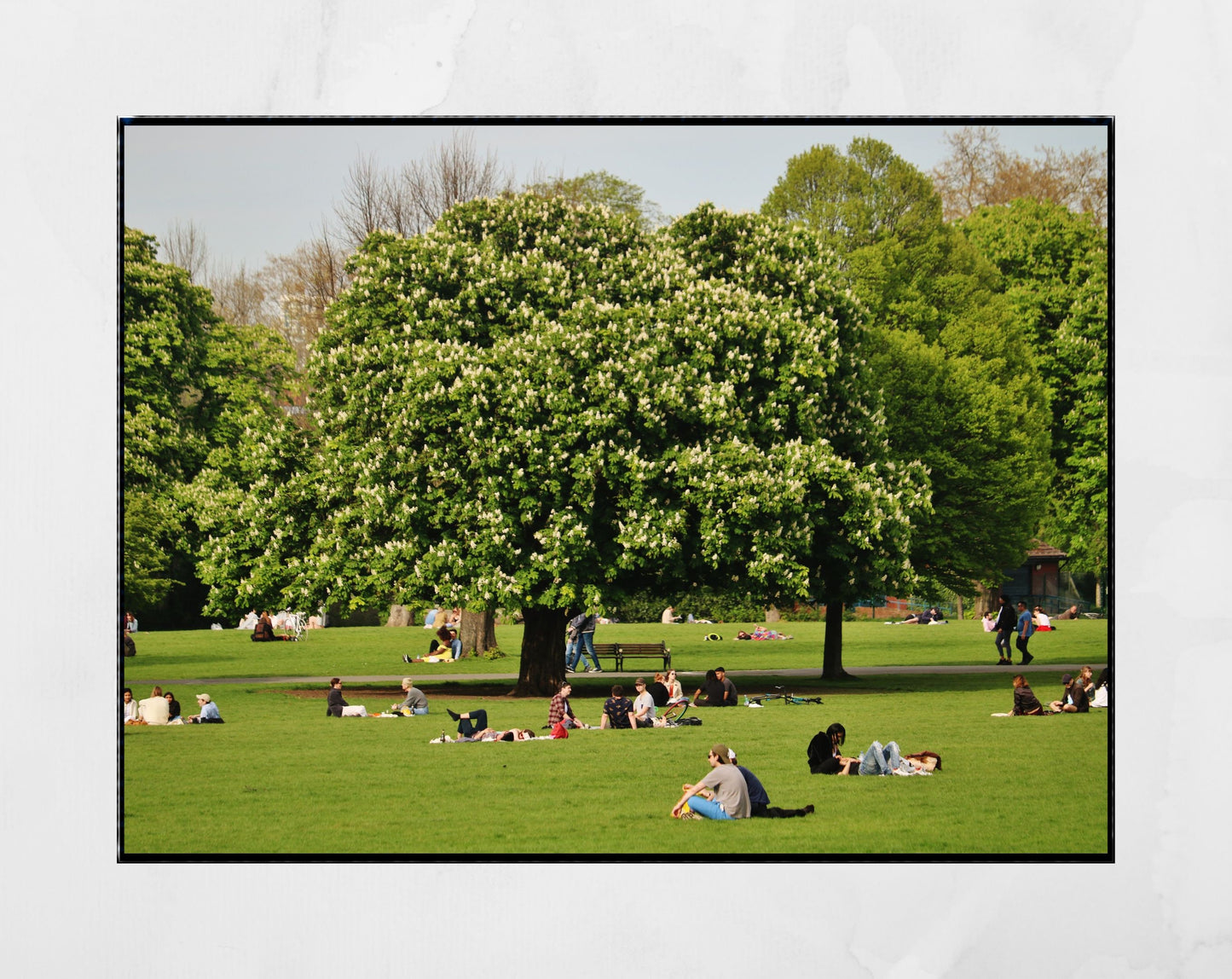 Clissold Park London Photography Print