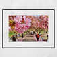 Cherry Blossom Print Greenwich Park London Photography