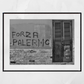 Forza Palermo F.C. Black And White Photography Print