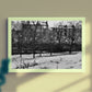 Glasgow Tenement West End Kelvingrove Park Photography Print