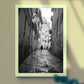 Bologna Italy Black And White Photography Art Print