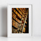 Library Wall Art The Long Room Trinity College Dublin Photography Print