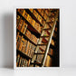 Library Wall Art The Long Room Trinity College Dublin Photography Print