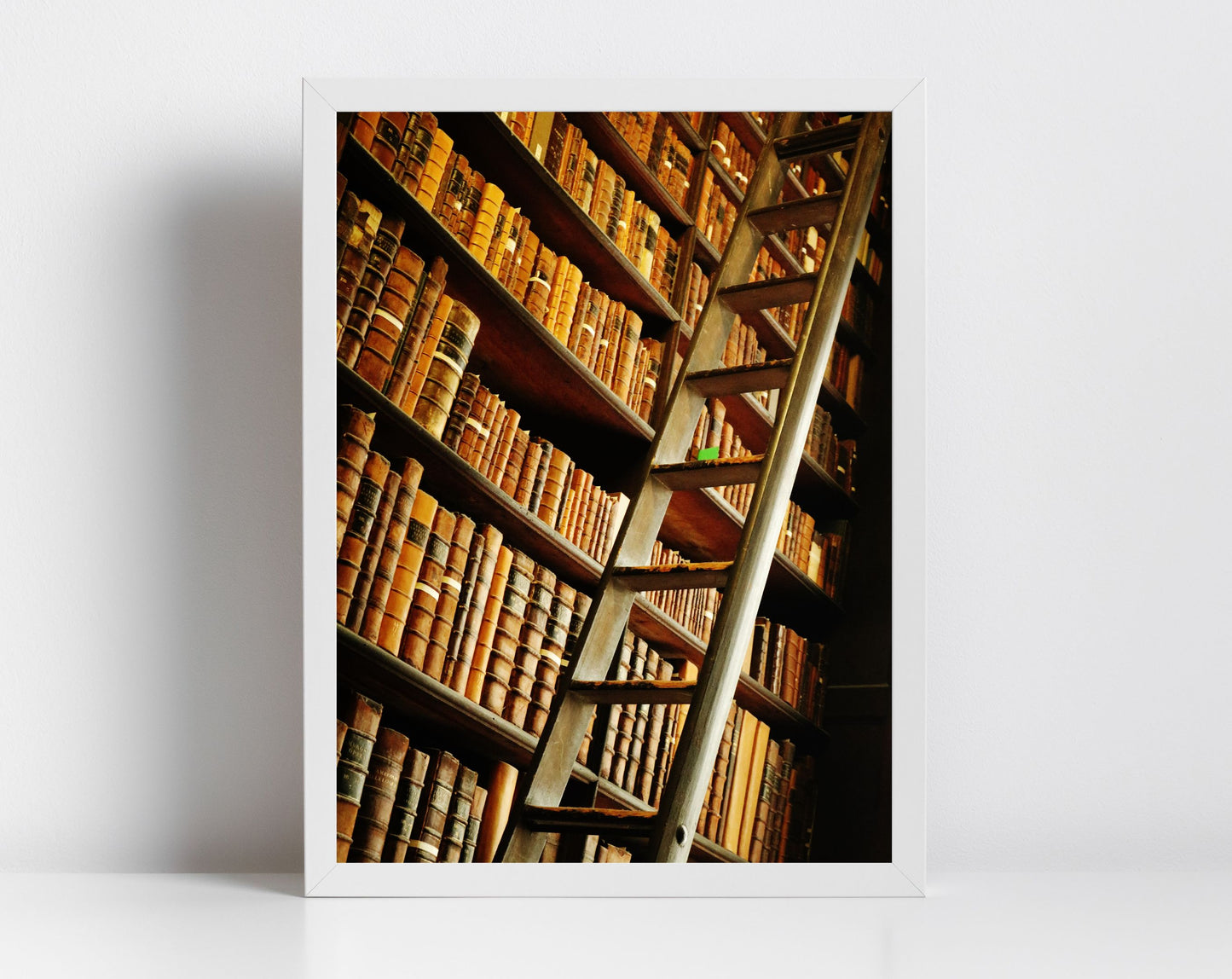 Library Wall Art The Long Room Trinity College Dublin Photography Print