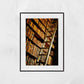 Library Wall Art The Long Room Trinity College Dublin Photography Print