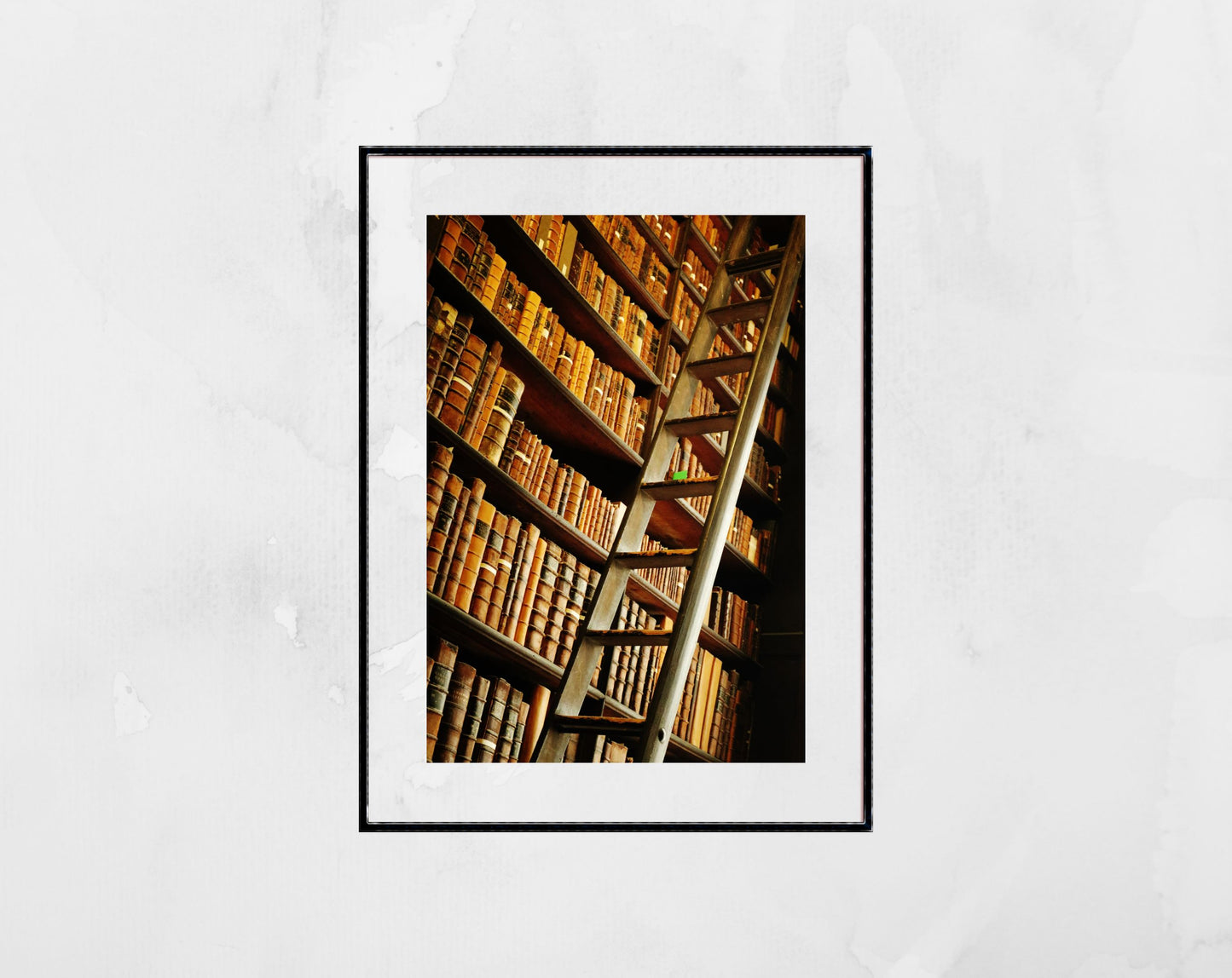 Library Wall Art The Long Room Trinity College Dublin Photography Print