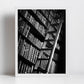 Library Wall Art The Long Room Trinity College Dublin Black And White Photography Print