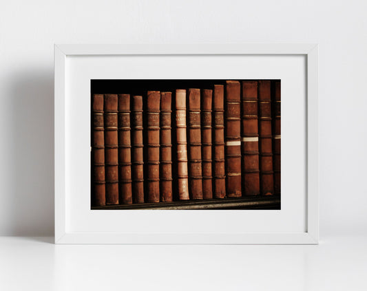 Bookshelf Print Library Wall Art Trinity College Dublin Photography