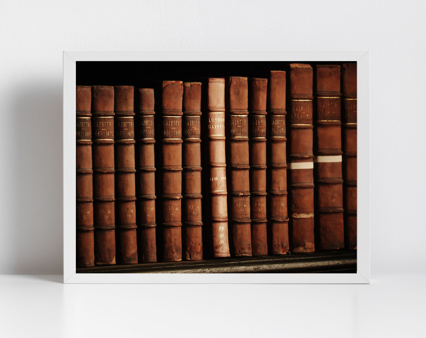 Bookshelf Print Library Wall Art Trinity College Dublin Photography