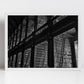 The Long Room Trinity College Dublin Black And White Print Library Wall Art