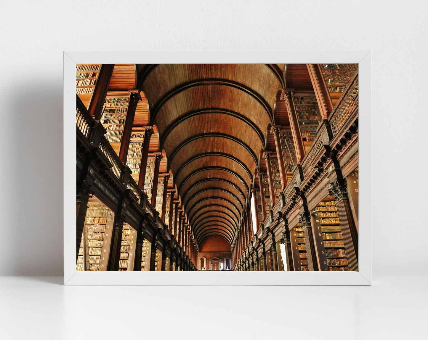 The Long Room Trinity College Dublin Print