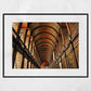 The Long Room Trinity College Dublin Print