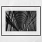 The Long Room Trinity College Dublin Black And White Print