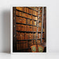 Library Wall Art The Long Room Trinity College Dublin Ireland Print Photography