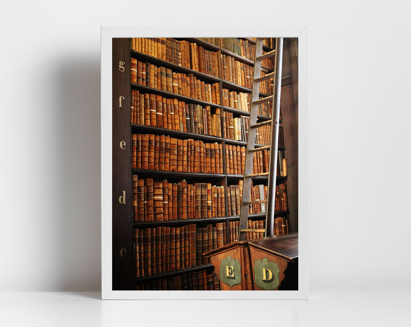 Library Wall Art The Long Room Trinity College Dublin Ireland Print Photography