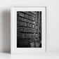 Library Wall Art The Long Room Trinity College Dublin Ireland Black And White Print Photography