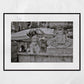 Amenano Fountain Catania Sicily Black And White Photography Print Italy Wall Art