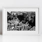 Columbia Road Flower Market Print London Black And White Photography