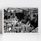 Columbia Road Flower Market Print London Black And White Photography