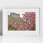 Edinburgh Castle Photography Print Cherry Blossom Wall Art