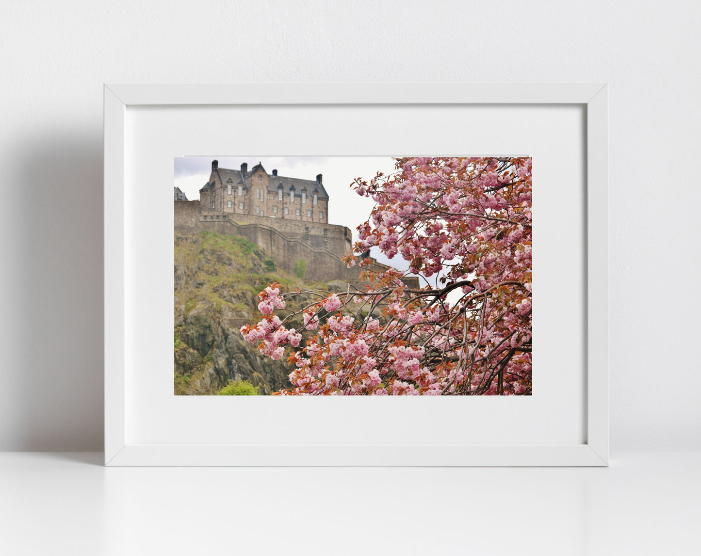 Edinburgh Castle Photography Print Cherry Blossom Wall Art