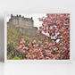 Edinburgh Castle Photography Print Cherry Blossom Wall Art
