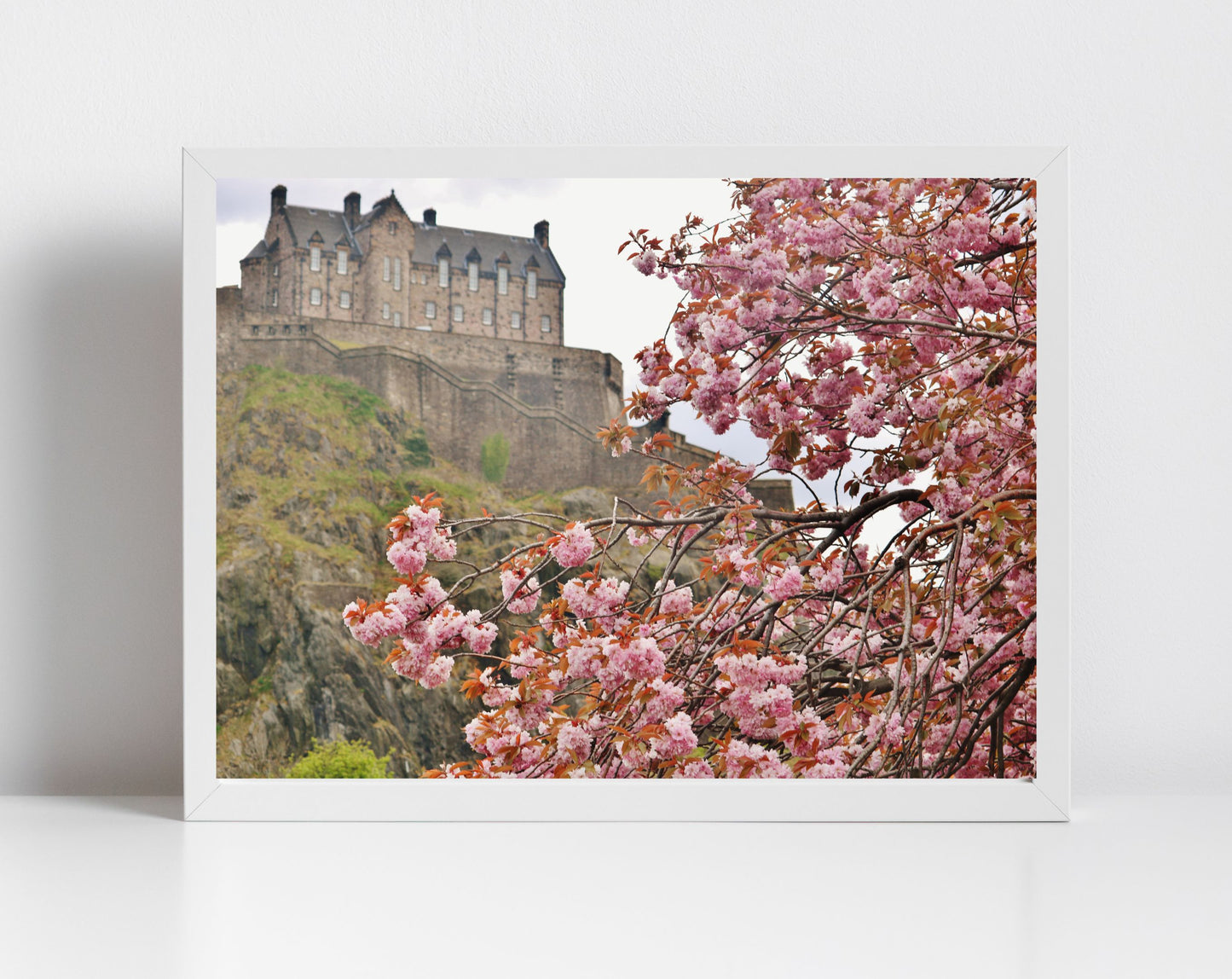 Edinburgh Castle Photography Print Cherry Blossom Wall Art